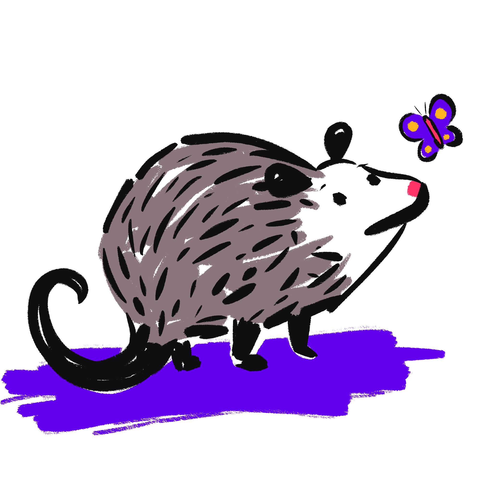 onboarding-possum-03
